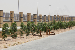 01_Palisade fence,Road barrier in Dubai